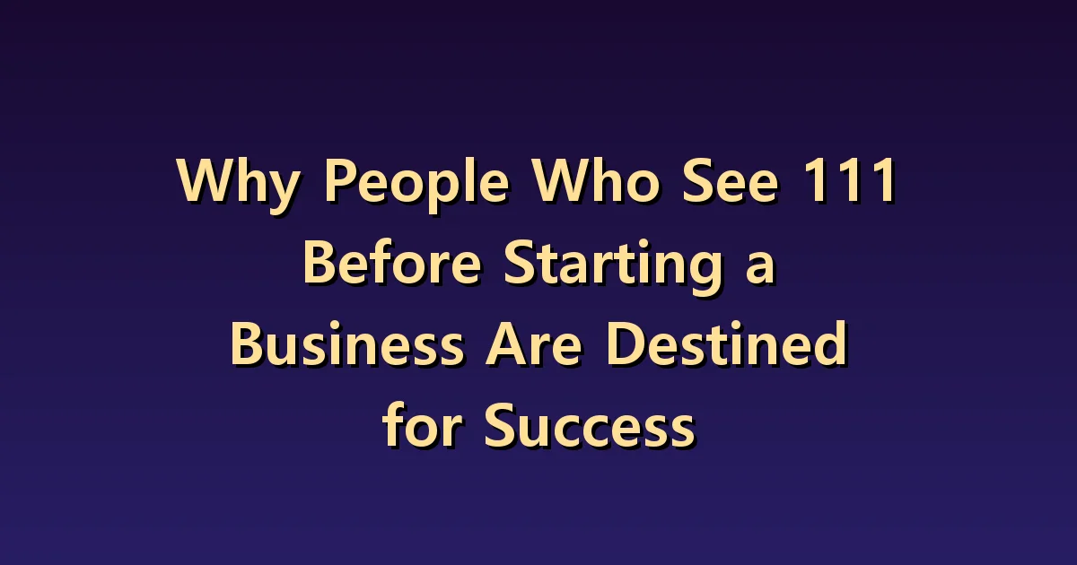 111 Before Starting a Business: Business Hypothesis to Check Before Signs of Success
