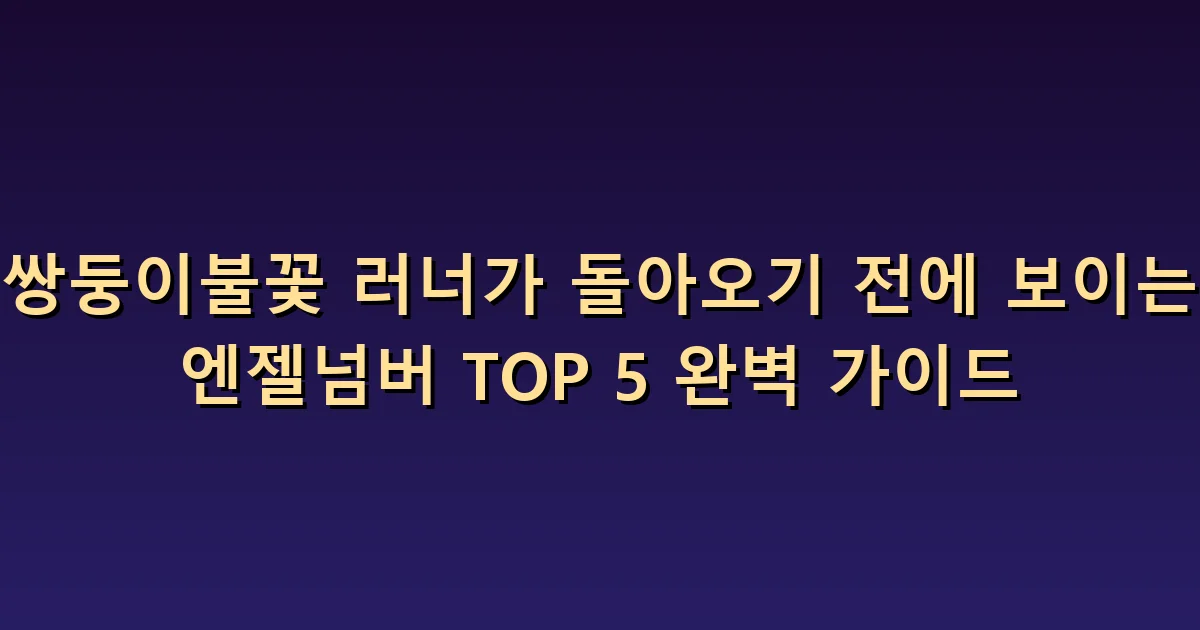 트윈플레임 재회 숫자 5가지: 예고 대신 확인할 질문